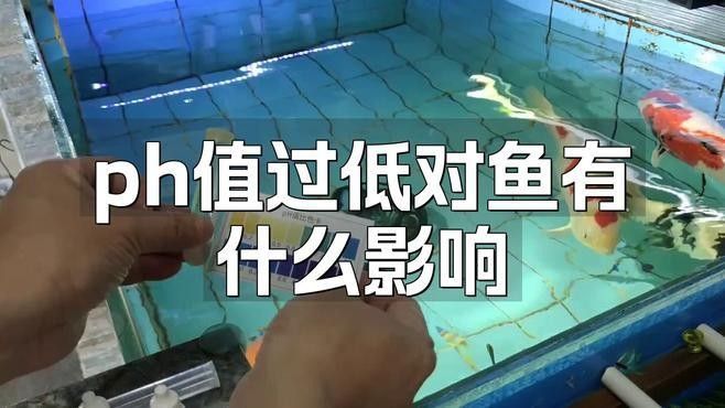龍魚浮頭時如何改善水質（龍魚浮頭怎么辦）