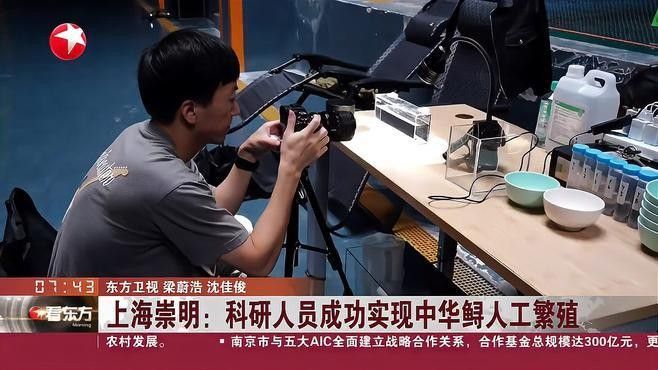 龍魚寄生蟲治療藥物有哪些