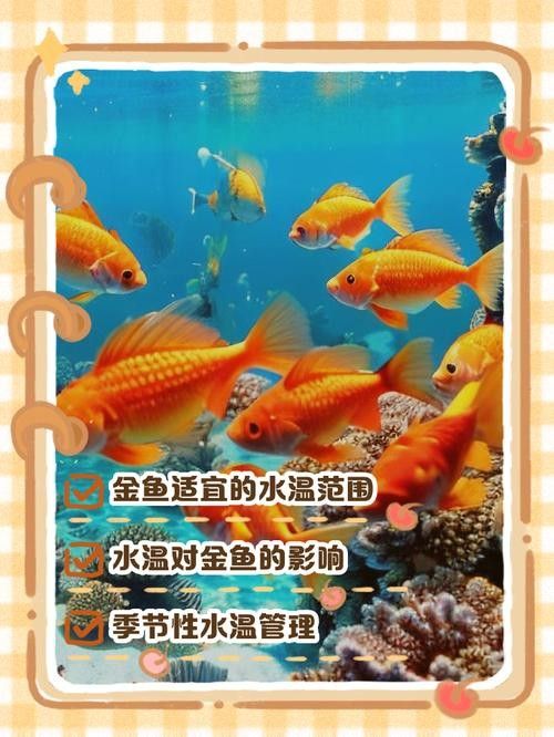 金龍魚在什么溫度下最活躍？（金龍魚溫度多少合適車俠聊車金龍魚溫度多少合適）