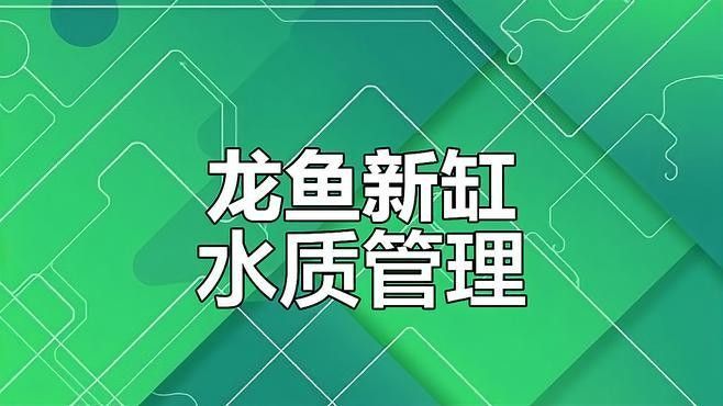 龍魚魚缸清洗需要多長時間（養魚老道，家用魚缸如何清洗這6點要記住，讓魚兒快樂成長！）