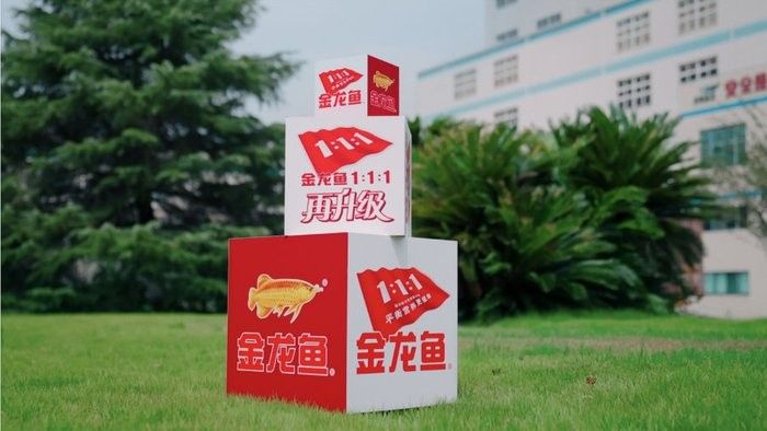 金龍魚的企業使命是什么？