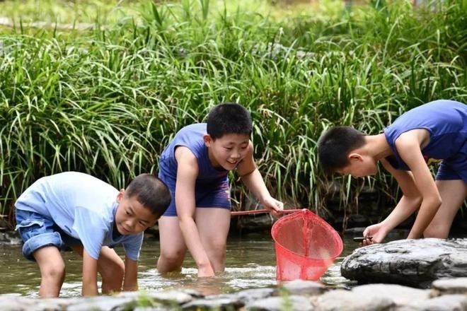 如何確保小魚來源的清潔（京東段子手魚池清潔機品牌排行榜京東段子手魚池清潔機品牌排行榜）
