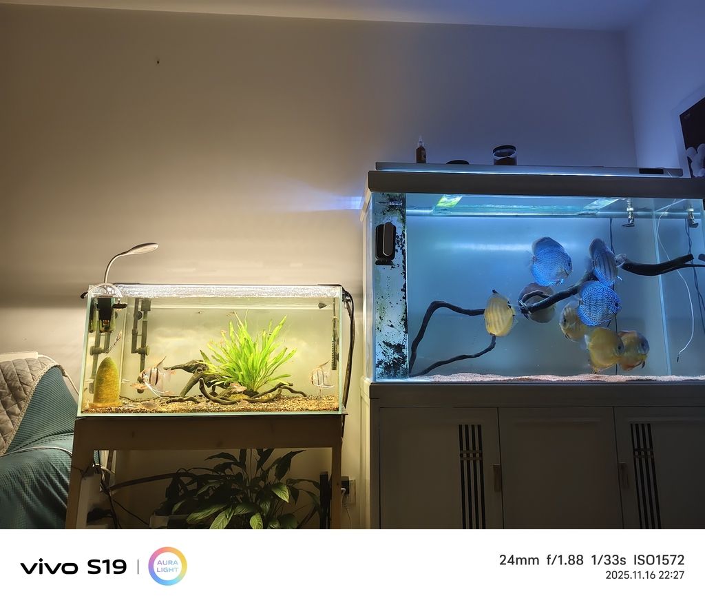 養(yǎng)魚(yú)人（養(yǎng)魚(yú)人不僅是魚(yú)類的“主人”，七彩吃漢堡，剩下的喂另一缸）