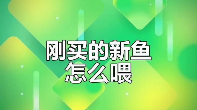 藍龍魚的市場需求如何（藍龍魚市場需求受到以下幾個因素的影響）