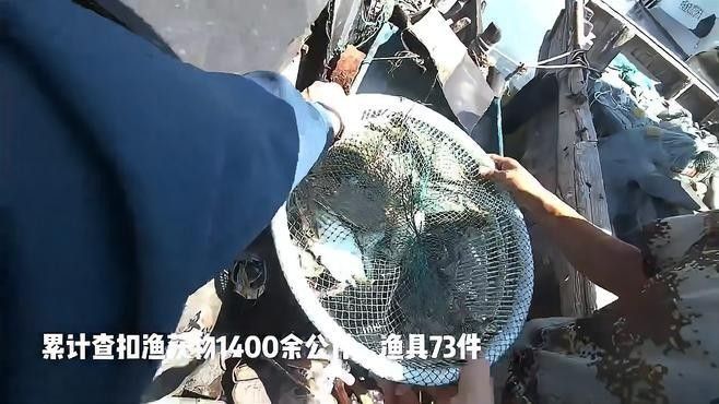 日照市如何應對海龍魚禁令？（日照市對海龍魚的禁令管理）