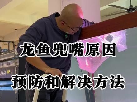 如何拍攝金龍魚嘴部的特寫？