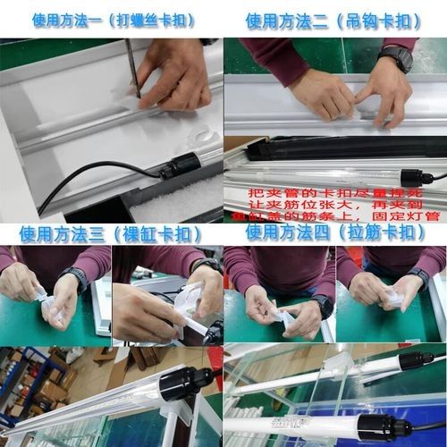 哪種品牌金龍魚燈效果好