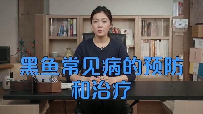 如何飼養黑龍魚（張三影fade在家飼養黑龍魚的基本指南是一些基本的飼養指南）