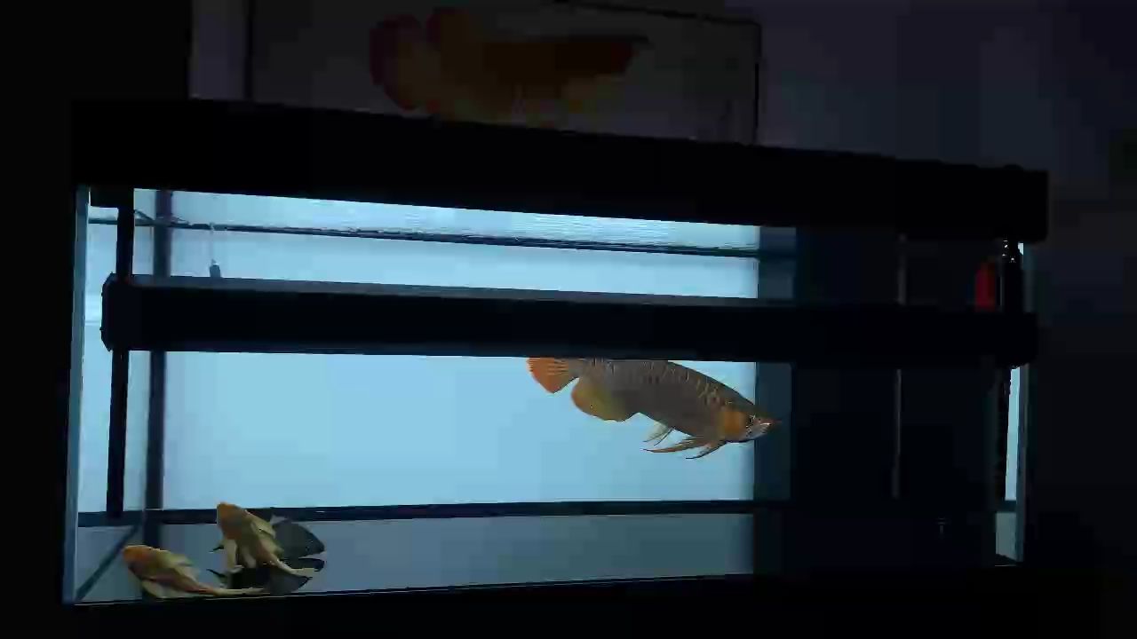 周末愉快
