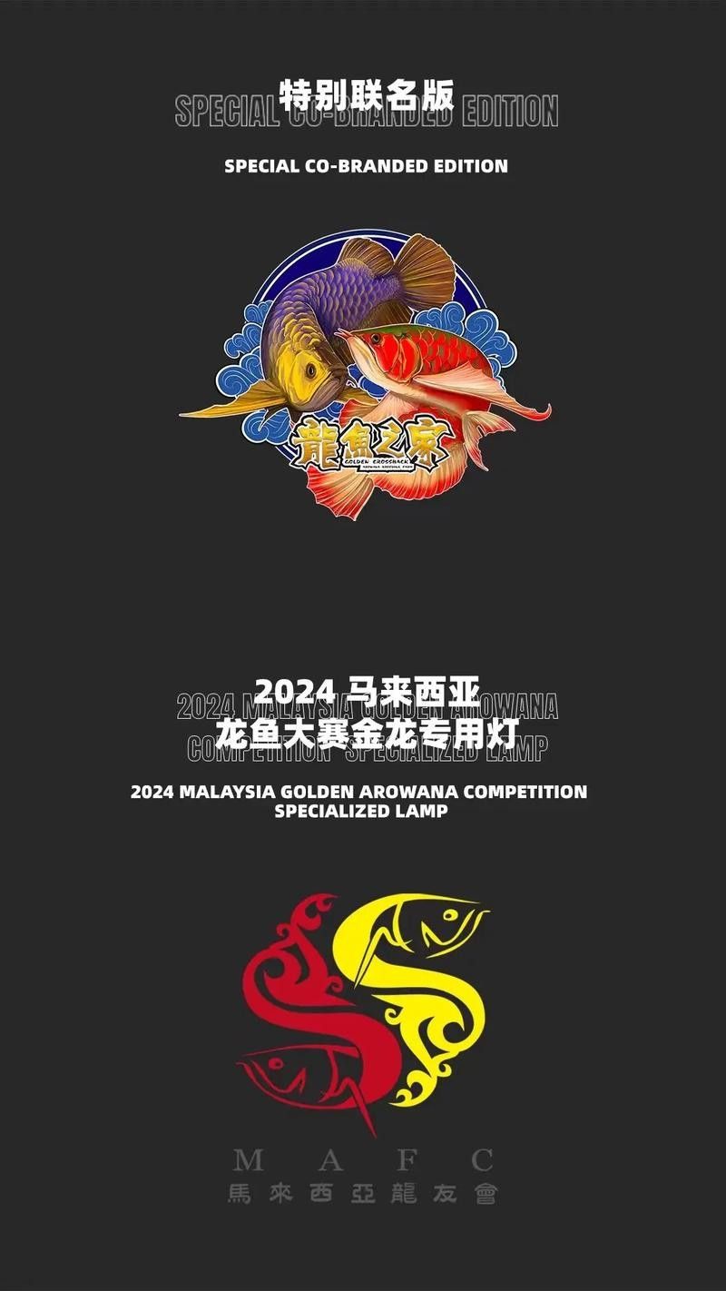 藍底龍魚燈光推薦品牌（藍底金龍魚燈光選擇）