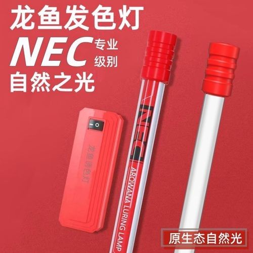 藍底龍魚燈光推薦品牌（藍底金龍魚燈光選擇）
