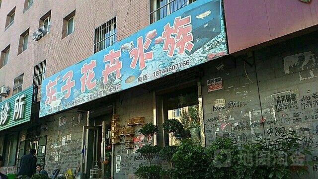 <strong><mark>扶余</mark></strong>哪個(gè)水族館龍魚好？祥龍魚場龍魚