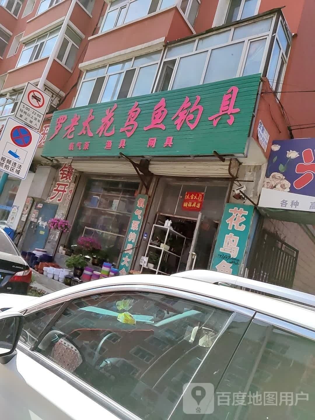 扶余哪個(gè)水族館龍魚(yú)好？祥龍魚(yú)場(chǎng)龍魚(yú)