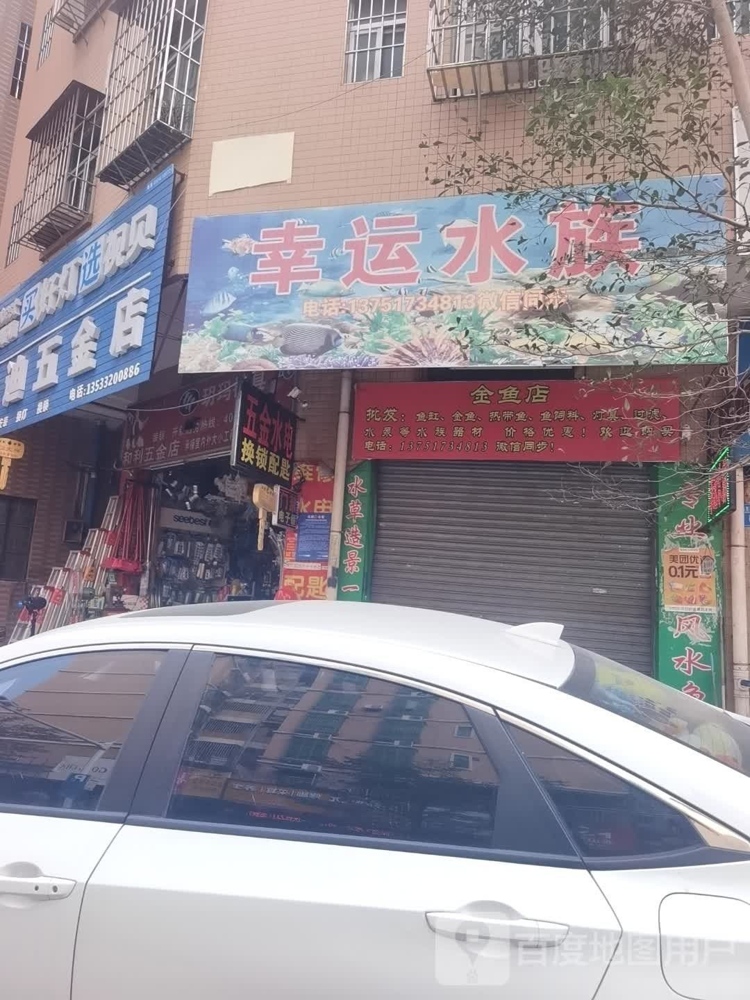 廣州還有哪些賣金龍魚的地方
