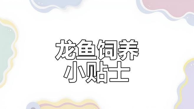 金龍魚發色期多久喂一次（金龍魚發色期多久換一次水金龍魚發色期多久換一次水）