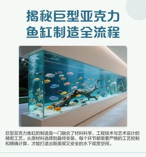 專業訂制高檔魚缸的口碑如何？