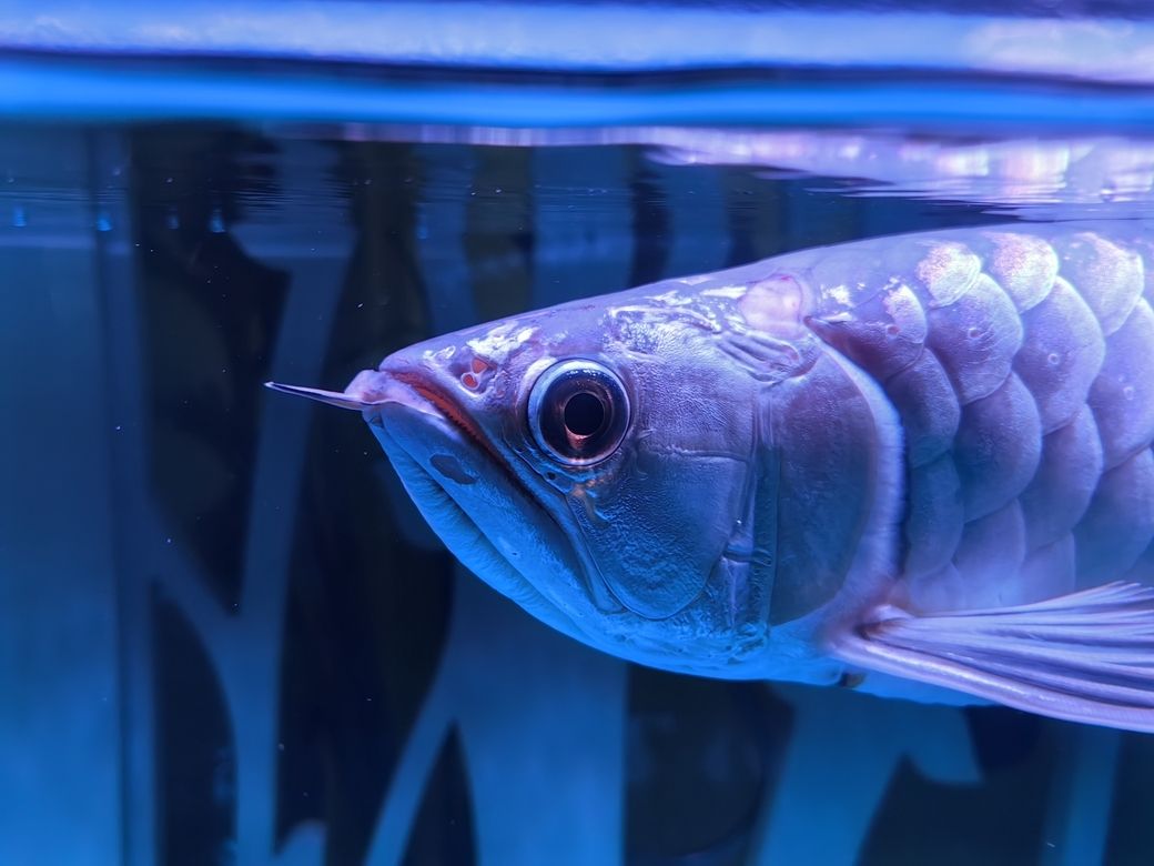 求助，怎么治療