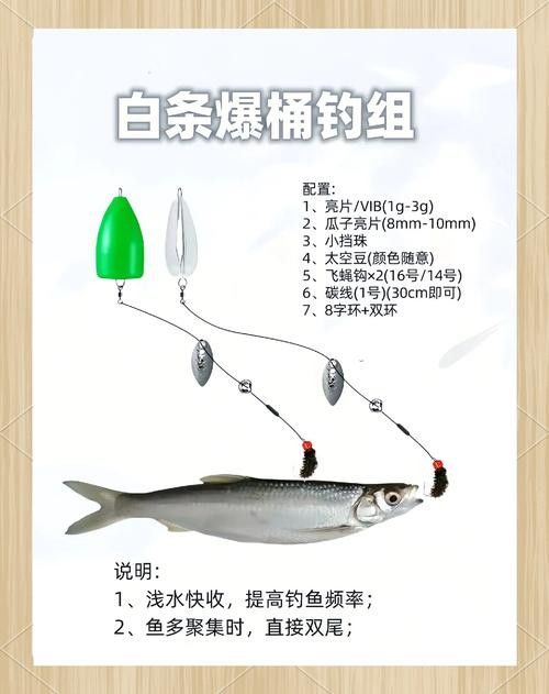 白龍魚吃什么餌料最好（關于白龍魚的餌料選擇及其相關注意事項）