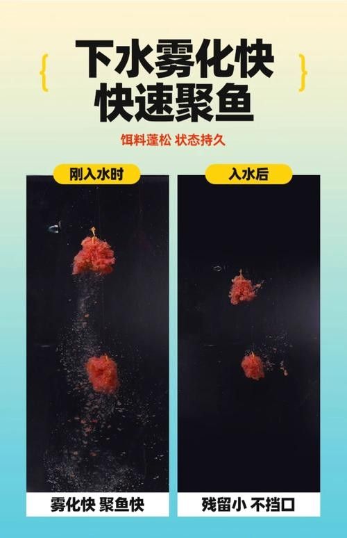 白龍魚吃什么餌料最好（關于白龍魚的餌料選擇及其相關注意事項）