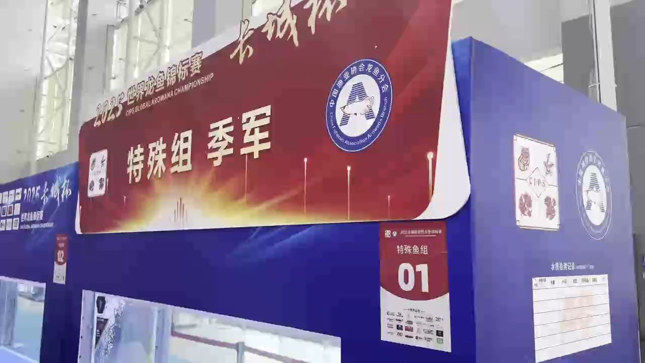 鳳凰龍真的帥（鳳凰龍的美學美學魅力）