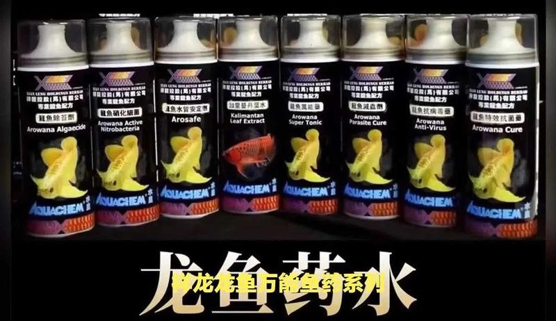 羅定哪個水族館龍魚好？祥龍魚場龍魚（定祥龍魚場是一個備受推崇的水族館）