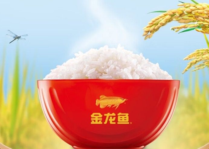 金龍魚是如何確保水稻品質的？