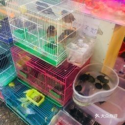 龍魚閣水族箱專賣店營業時間是（北京龍魚閣水族箱專賣店）