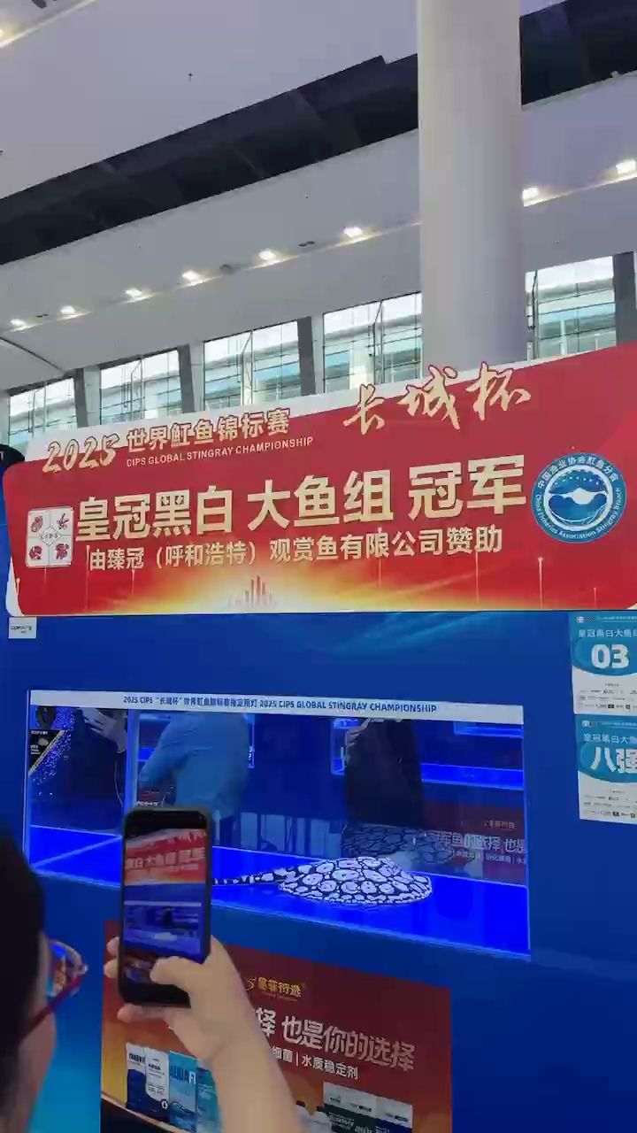 賞（2025長城杯大魚總覽,小伙不帥_人見人愛評論）