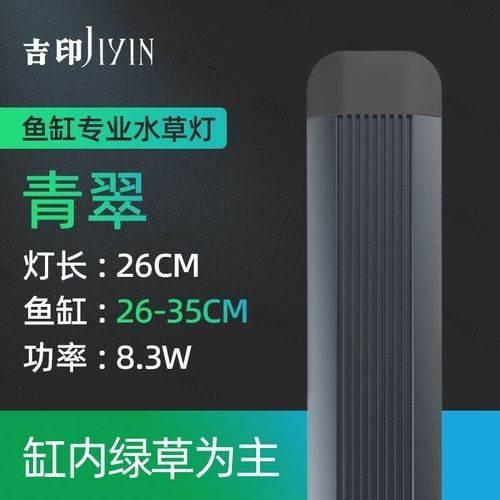 雷龍魚造景需要哪些燈具？（雷龍魚造景燈具選擇）