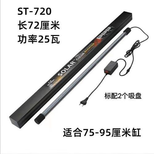 雷龍魚造景需要哪些燈具？（雷龍魚造景燈具選擇）