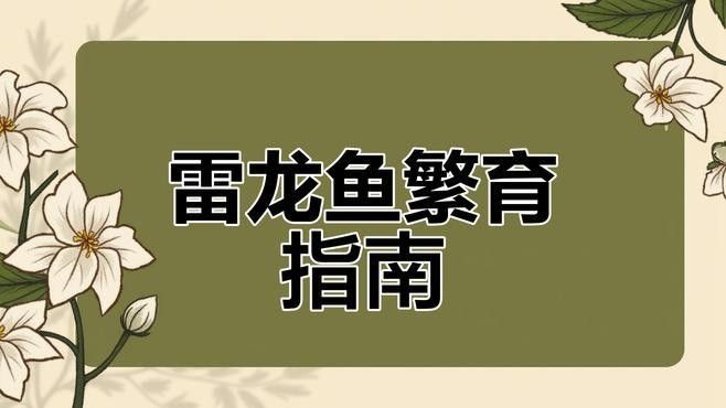 彩虹雷龍魚繁殖困難嗎