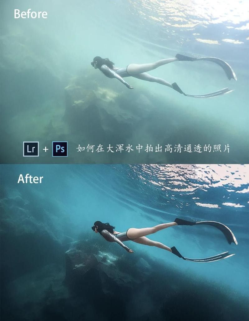 如何拍攝椒鹽龍魚的高清圖片（拍攝椒鹽龍魚的高清圖片需要一些技巧和設備和設備）