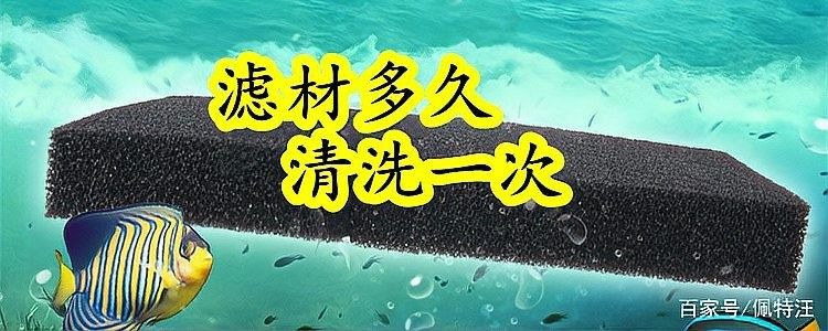 清洗濾材時需要注意什么（養魚老道，新買的魚缸濾材要不要清洗怎么清洗）