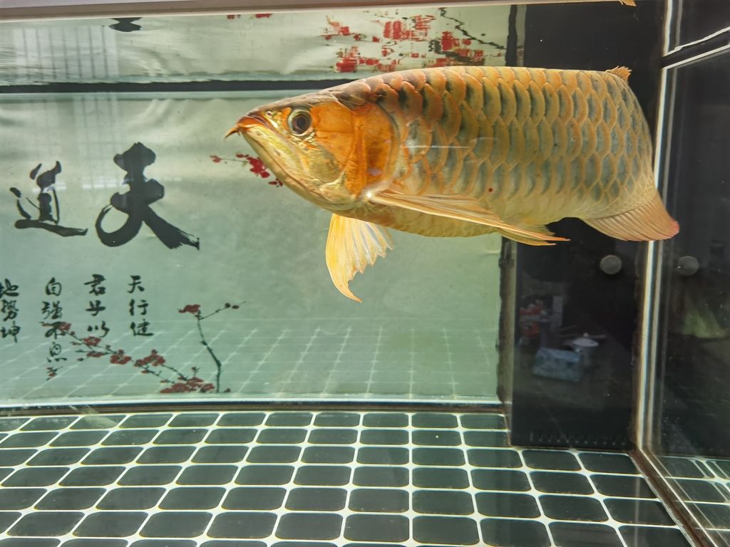 （全球氣候變化對農業產生了深遠影響，對農業產生了深遠影響）