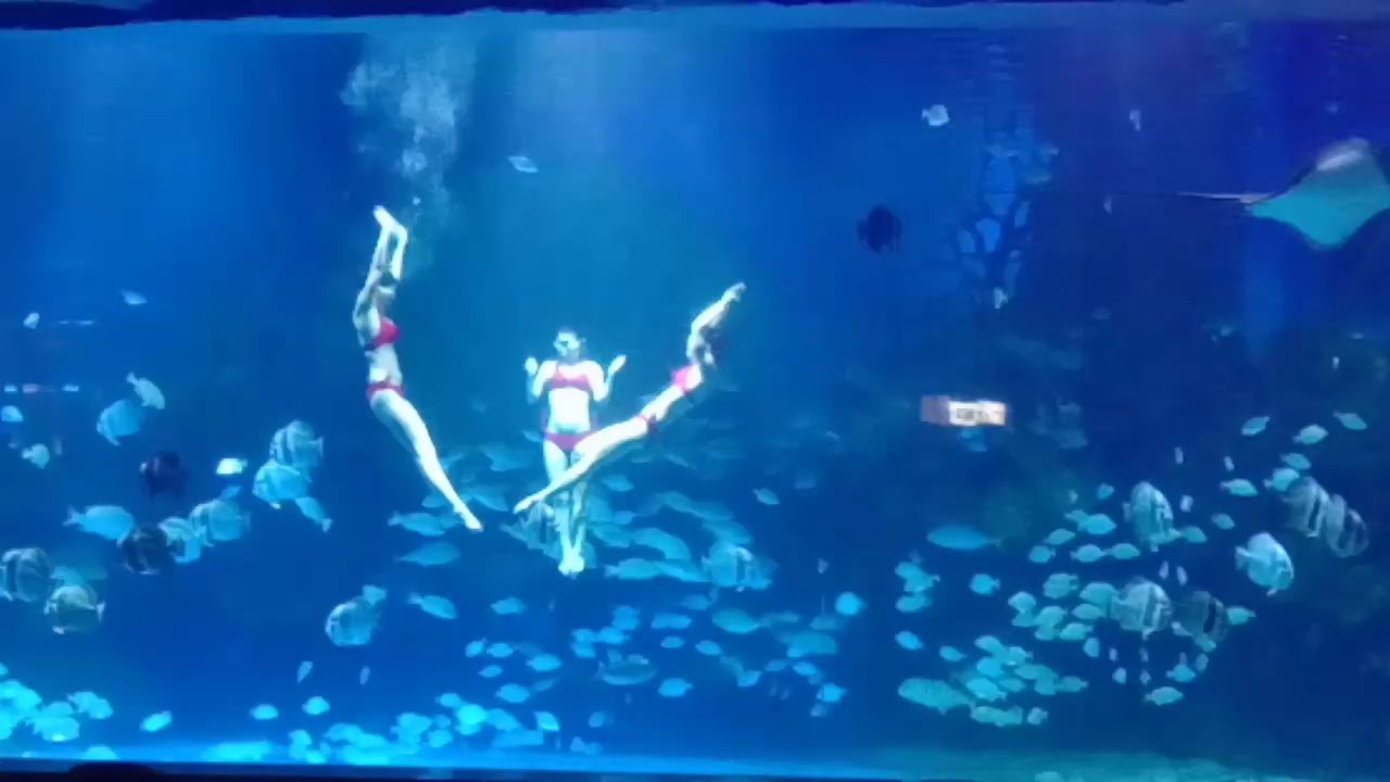 隨拍（隨拍，在當代社會）
