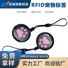 龍魚芯片費用是多少（龍魚芯片價格是多少？）
