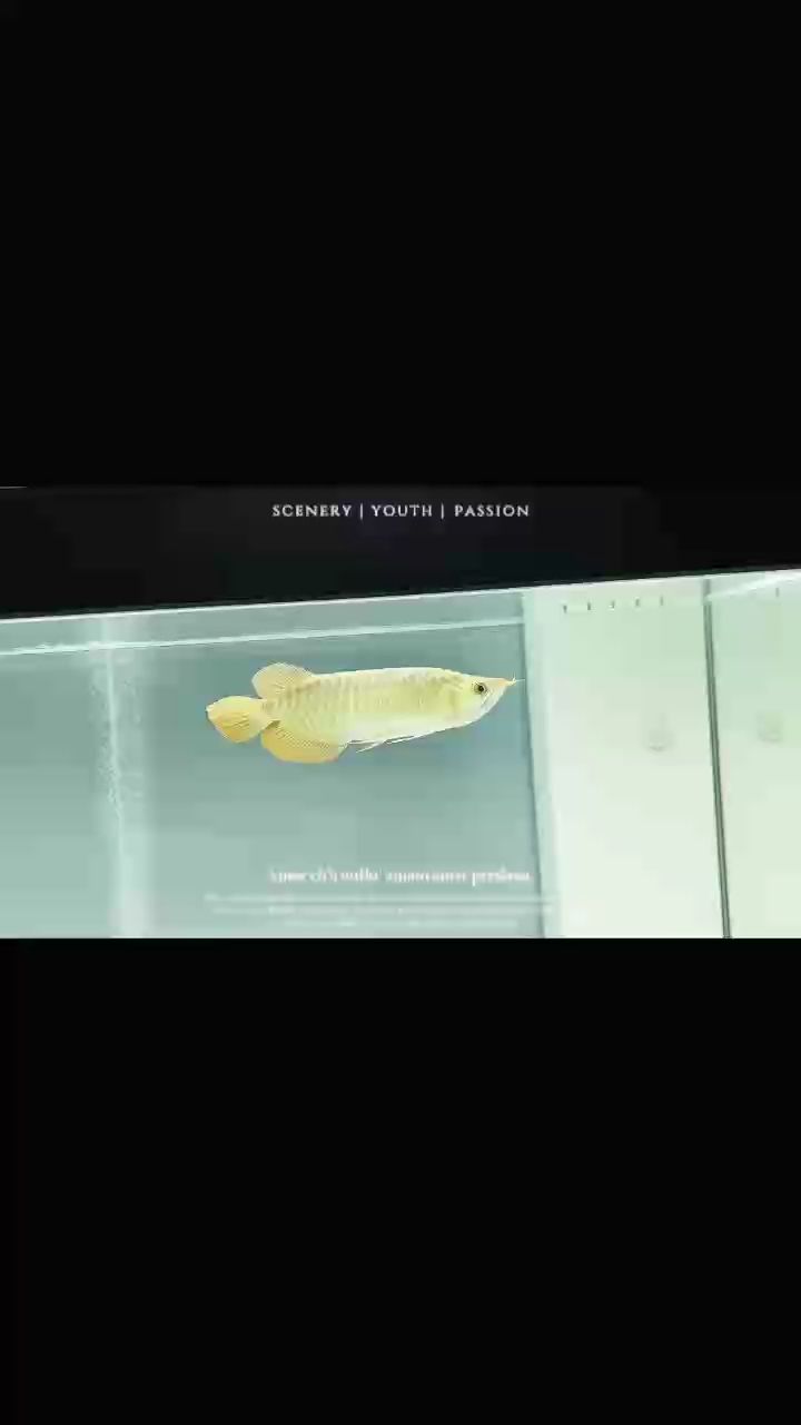 記錄一下（一次難忘的徒步旅行）