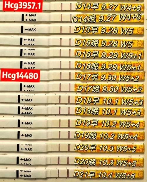 試紙和試劑套裝的價(jià)格差異大嗎（試劑套裝的價(jià)格差異大嗎，）