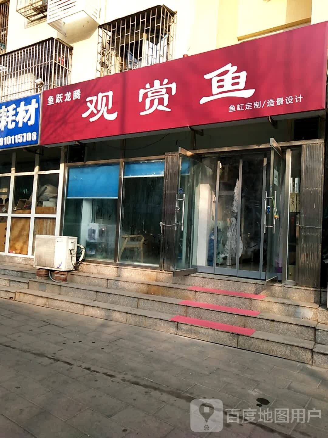 修武哪個水族館龍魚好？祥龍魚場龍魚（修武哪個水族館龍魚好）