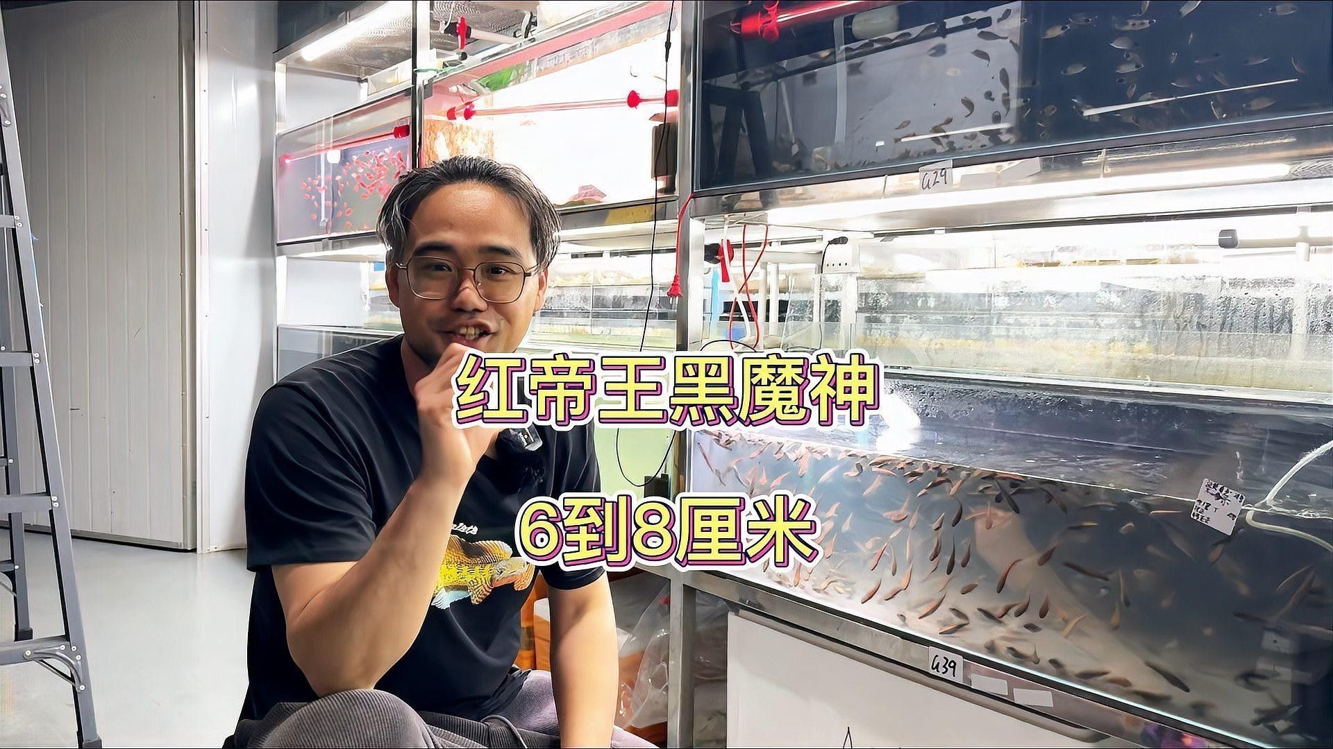 如何挑選健康的紅帝王雷龍魚(yú)（健康的紅帝王雷龍魚(yú)是確保其水族成長(zhǎng)的關(guān)鍵）