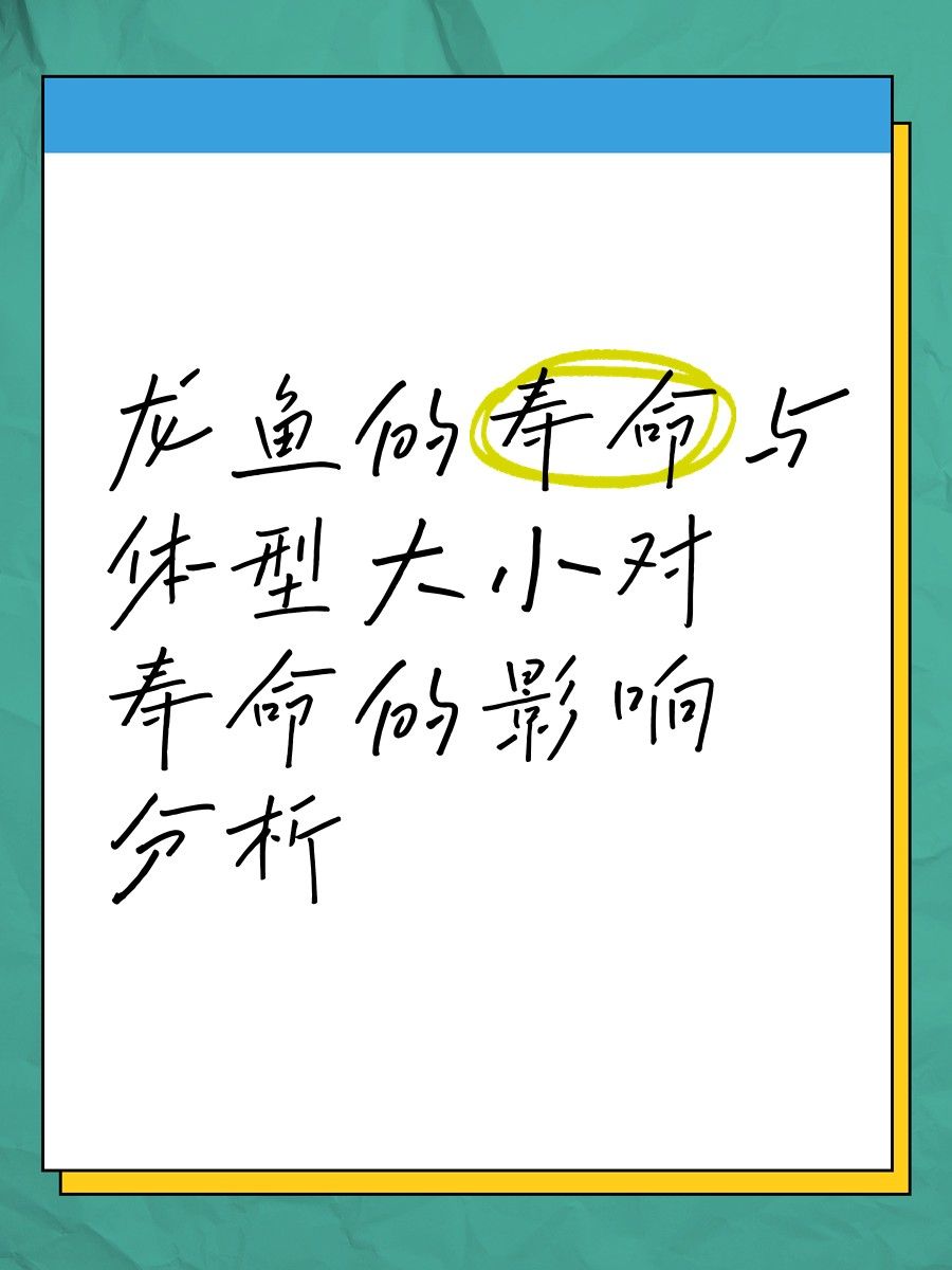 龍魚成長速度有多快（龍魚的成長速度如何？）