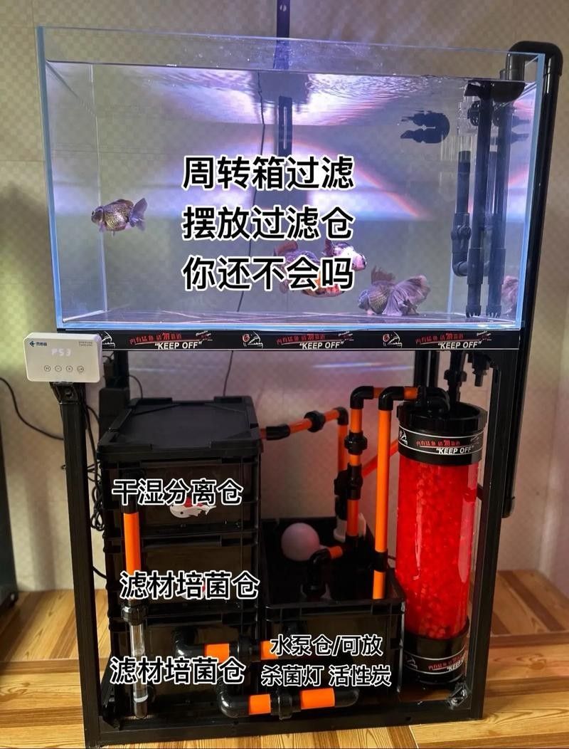 龍魚濾材擺放順序圖（關(guān)于龍魚濾材擺放順序圖）
