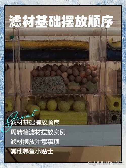 龍魚濾材擺放順序圖（關(guān)于龍魚濾材擺放順序圖）