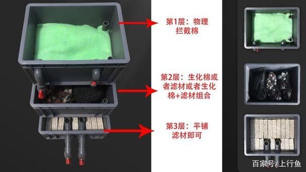 龍魚濾材擺放順序圖（關(guān)于龍魚濾材擺放順序圖）