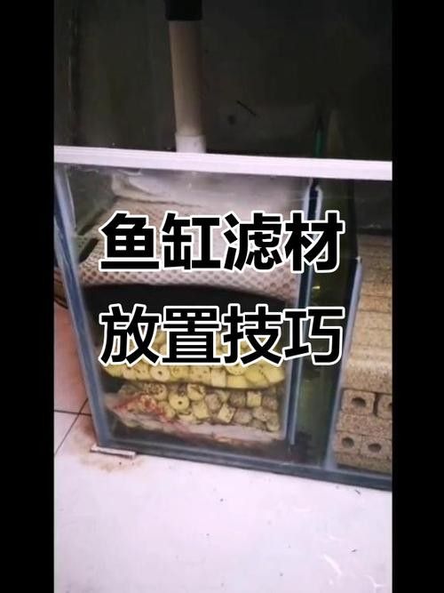 龍魚濾材擺放順序圖（關(guān)于龍魚濾材擺放順序圖）