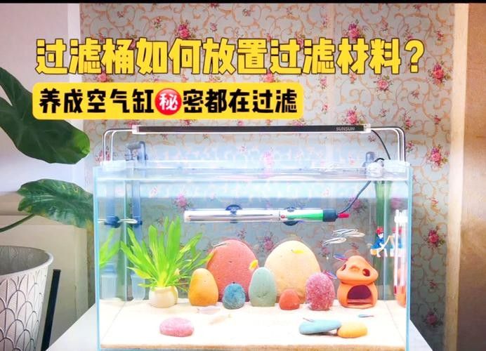龍魚濾材擺放順序圖（關(guān)于龍魚濾材擺放順序圖）