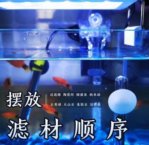 龍魚濾材擺放順序圖（關(guān)于龍魚濾材擺放順序圖）