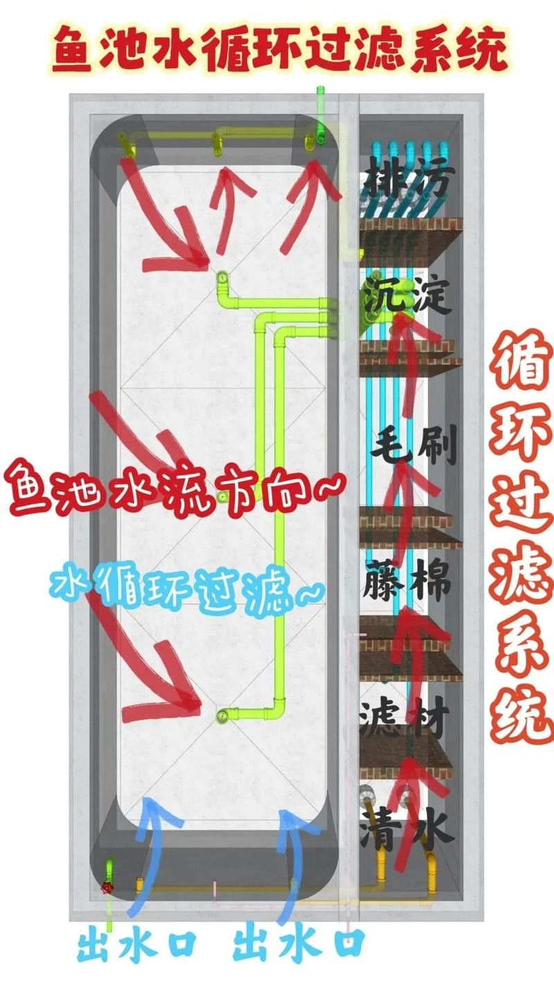 龍魚濾材擺放順序圖（關(guān)于龍魚濾材擺放順序圖）
