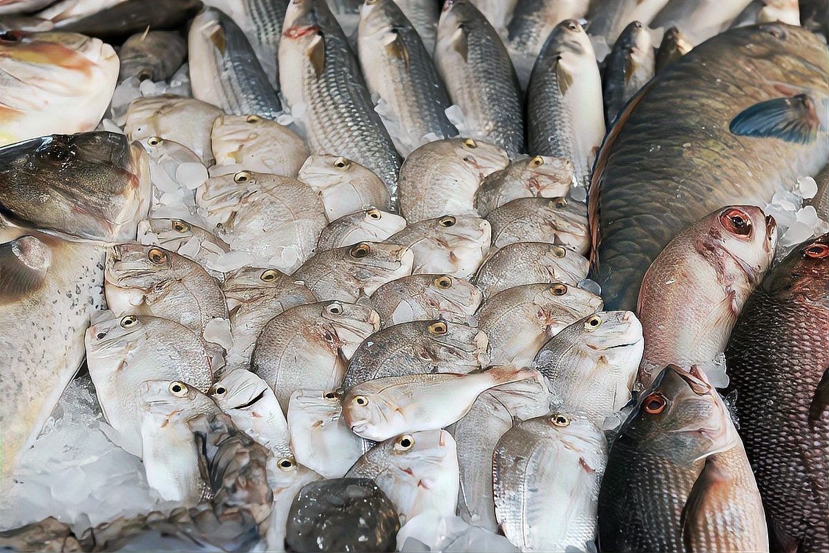 紅龍魚翹頭和翹嘴哪個更稀有（如何區分龍魚翹頭和翹嘴？）