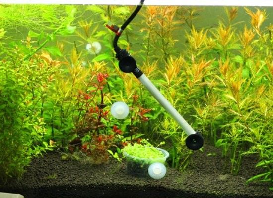 如何安裝金龍魚加熱棒？（金龍魚加熱棒安裝與使用全攻略[emoji[需手動填充]1f495[[需手動填充]emoji[需手動填充]）